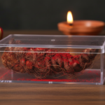 Hatha Jodi: The Rare “Hand-Joined” Root for Wealth and Protection